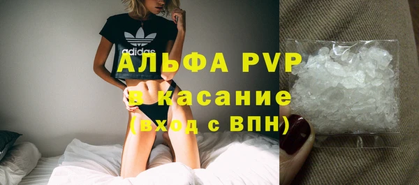 стаф Сатка