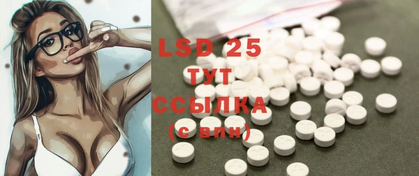 стаф Сатка