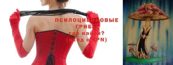 стаф Сатка