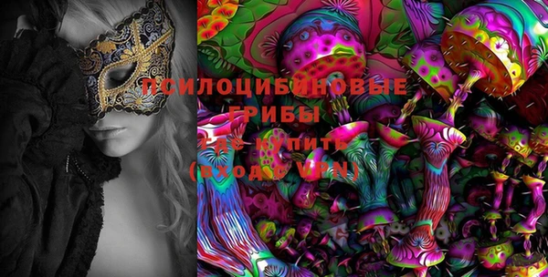 спиды Саяногорск