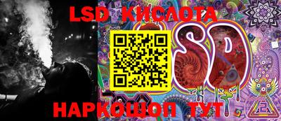 крисы Аргун