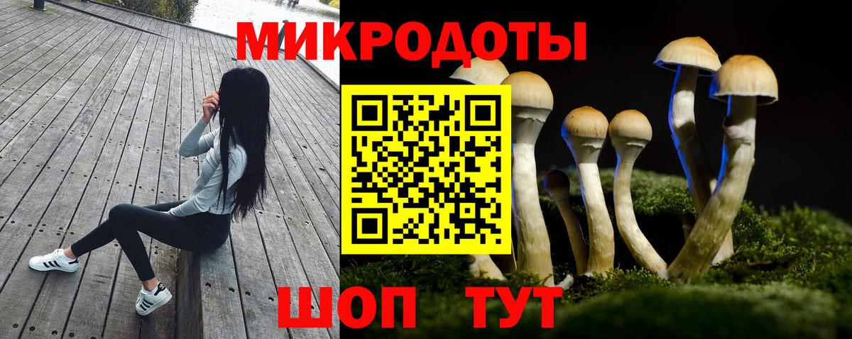 Сибай  Псилоцибиновые грибы мухоморы  Псилоцибиновые грибы Psilocybe  Вход с VPN 